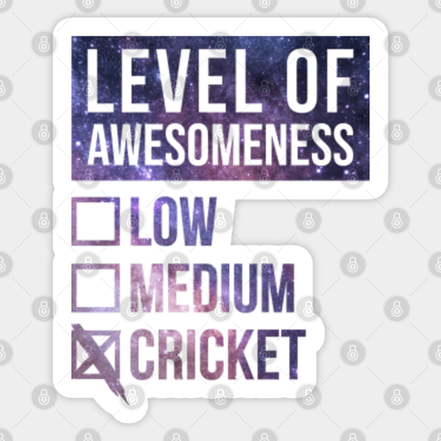 Funny Level Of Awesomeness Low Cricket Cricketer Quote For A Birthday Or Christmas - Sport - Sticker