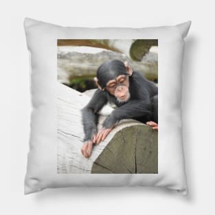 Baby Chimpanzee Pillow