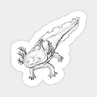 Dotted Axolotl Cute Magnet