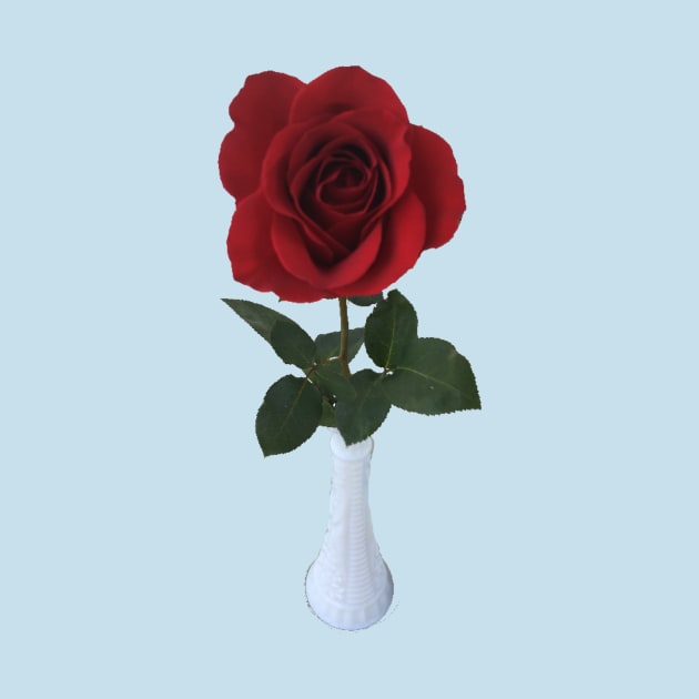 Dark Red Rose in a White Vase by Amanda1775
