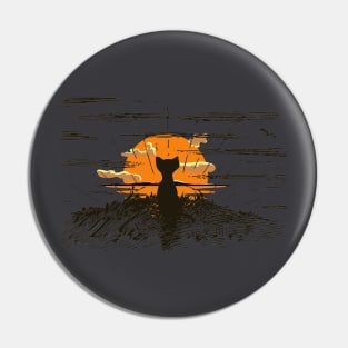 Cute cat watching sunset Pin