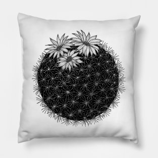 Desert Cactus Pillow