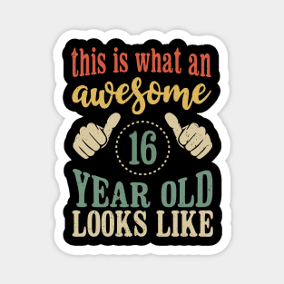 This is What an Awesome 16 Year Old Looks Like Boys Girls Kids Birthday Magnet