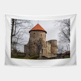 Ruins of medieval castle in Cesis, Latvia Tapestry