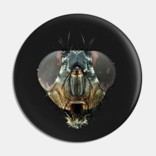 Extreme macro photo (under the microscope) of a fly head Pin