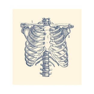 Shoulder and Rib Cage Diagram - Vintage Anatomy Poster T-Shirt