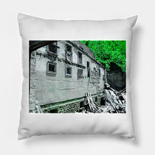 The Vibrance Of Nature Pillow