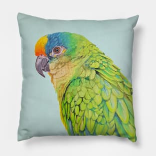 Amazon Parrot bird painting Pillow