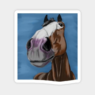 Funny horse portrait Magnet