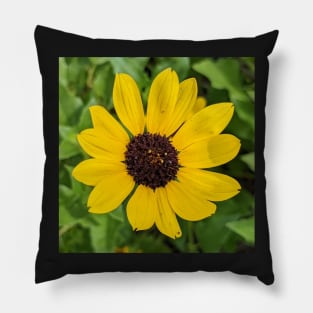 Yellow Sand Dunes Flower 1 Pillow