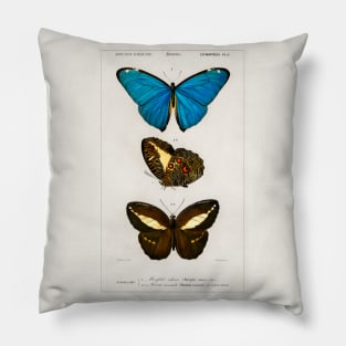 Types of Butterflies Pillow