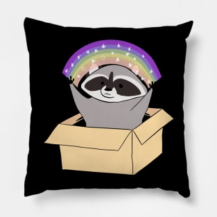 Funny Raccoon in a box with a rainbow Pillow