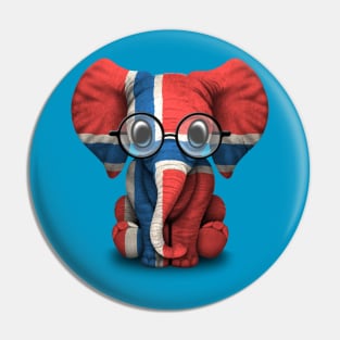 Baby Elephant with Glasses and Norwegian Flag Pin