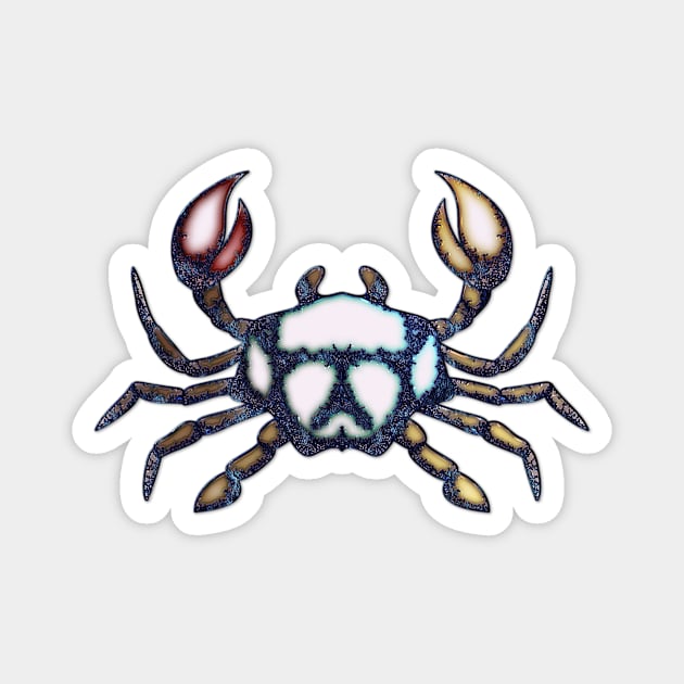 Zodiac sign cancer Magnet by Nicky2342