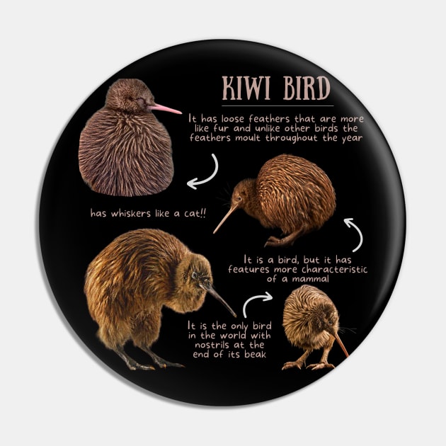 Animal Facts - Kiwi bird Pin by Animal Facts and Trivias