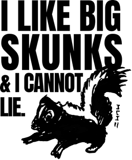 I Like Big Skunks and I Cannot Lie Magnet