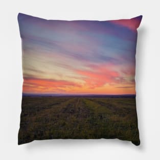 october colors Pillow