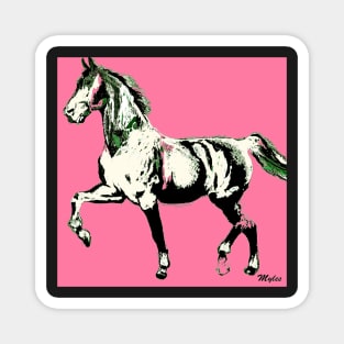 Horse :  The Pink Lady Walked By Magnet