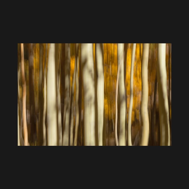 Fall Abstract II by jvnimages