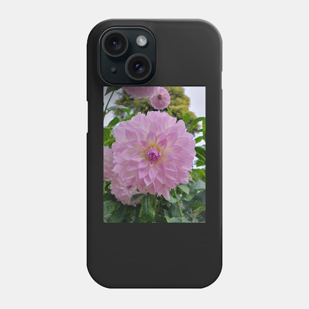 Pale Purple Dahlia Phone Case by claire-l-page