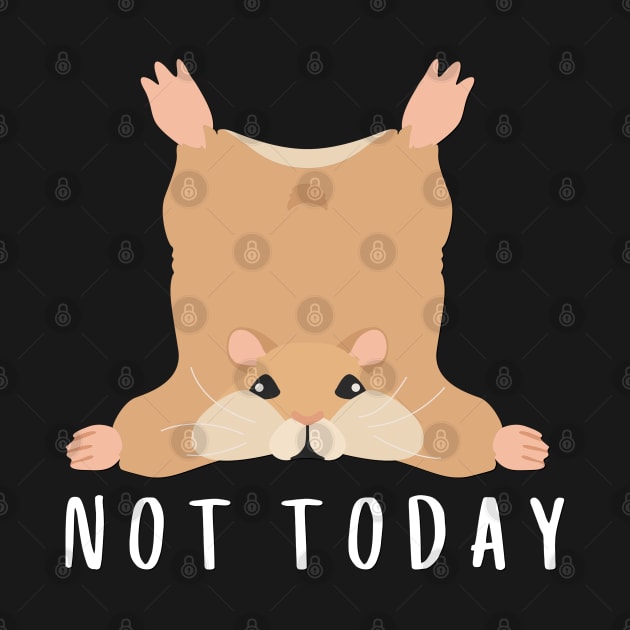 Lazy Hamster Nope not Today funny sarcastic messages sayings and quotes by BoogieCreates