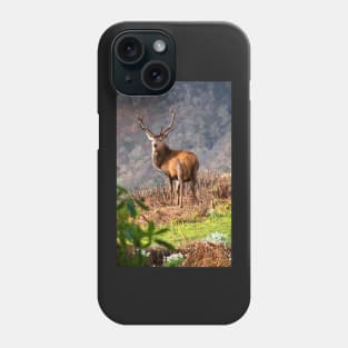 Red Deer Stag Phone Case