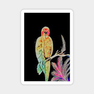 LUSTRE TROPICAL PARAKEET ON BLACK Magnet