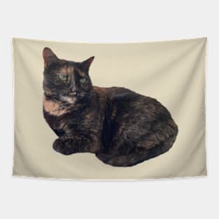 Tortie Cat Tapestry