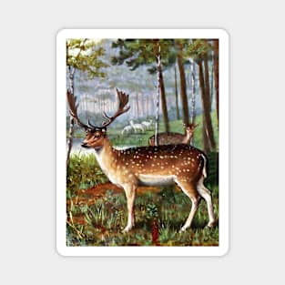 Deer Colorful Vintage Magnet