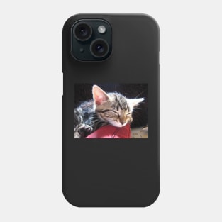 Wherever I lay my cat (that`s my home) Phone Case