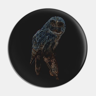 owl, owl colored Pin