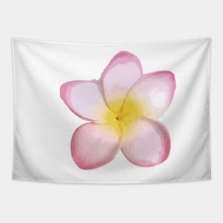 Frangipani — Pink Tapestry