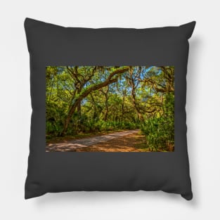 Cumberland Island National Seashore Pillow