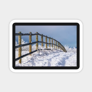 Fence Line in Winter. Magnet