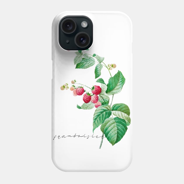 Vintage Raspberry Illustration Phone Case by thecolddots