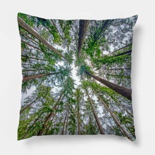 Look Up, Look Way Up Pillow