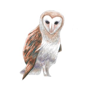 Barn Owl T-Shirt