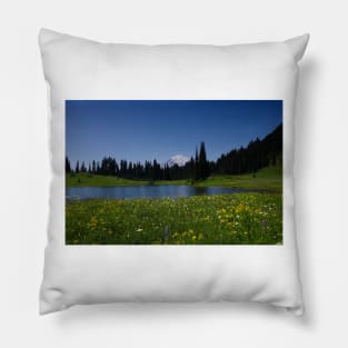 850_4627 Pillow