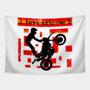 I love extreme Tapestry