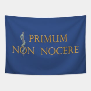 Primum Non Nocere - First, Do No Harm Tapestry