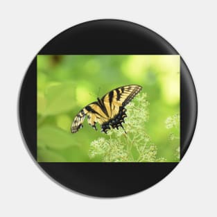 Tiger Swallowtail Butterfly 2021 Pin