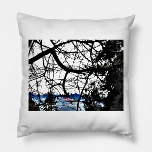 Spider Tree over Puget Sound Pillow