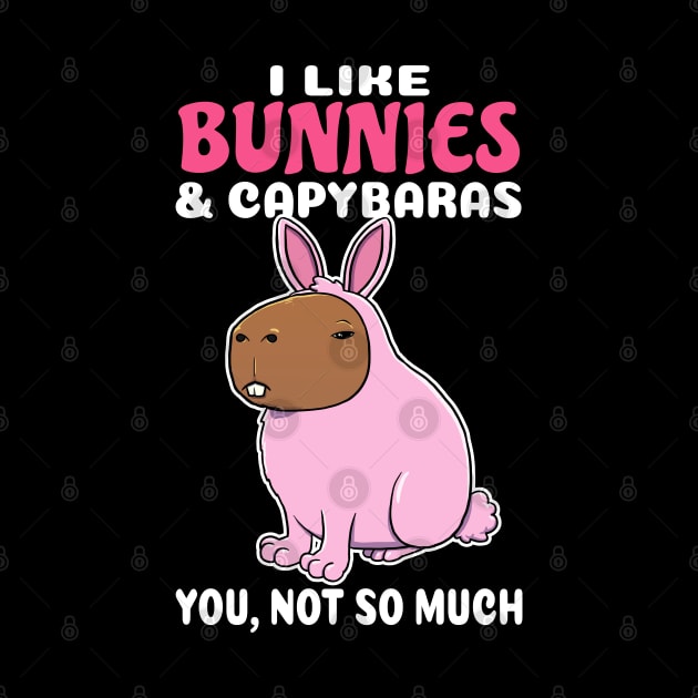 I Like Bunnies and Capybaras you not so much cartoon by capydays