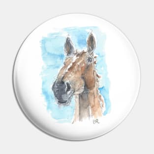 Bay horse portrait Pin