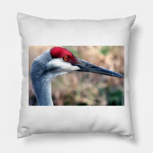 Floridian Crane Pillow