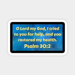 Bible Verse Psalm 30:2 Magnet