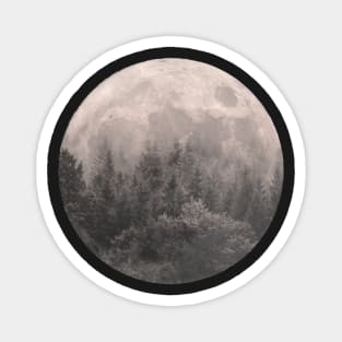 full moon forest Magnet