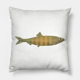 North American River Fish Pillow