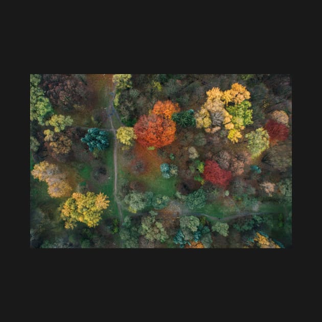 Fall colours from above 2 by a-photo