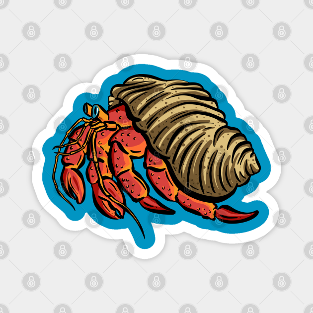 Big Red Hermit Crab cartoon illustration - Hermit Crab - Magnet | TeePublic Big Red Hermit Crab cartoon illustration - Hermit Crab - Magnet | TeePublic